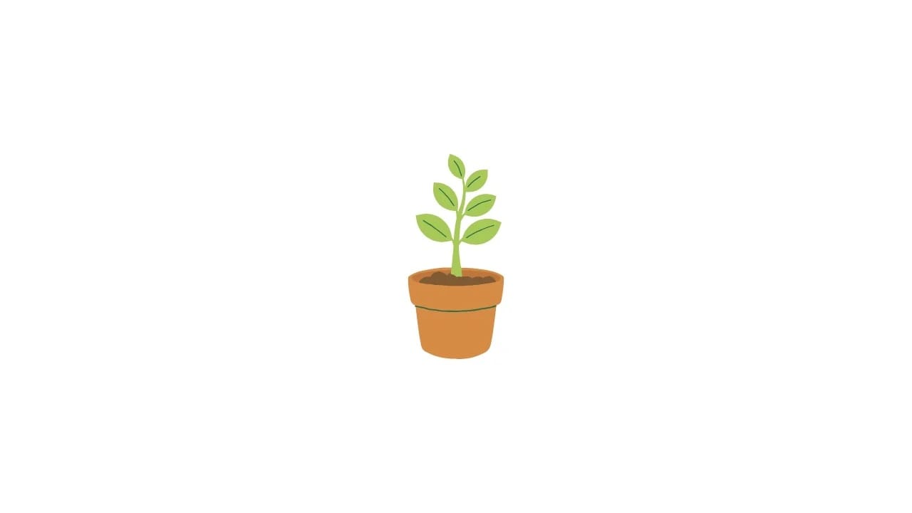 Project Digital Garden