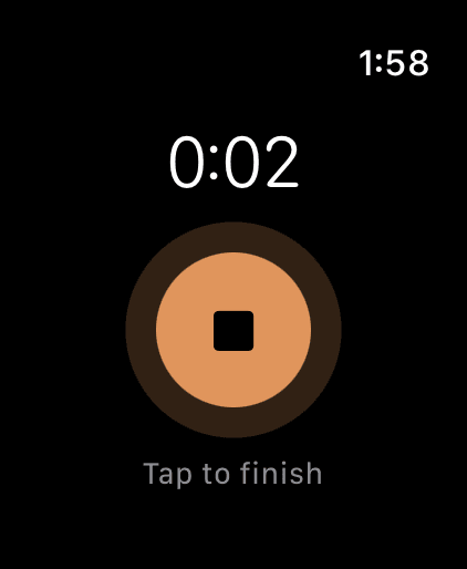 Apple Watch: recording